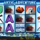 Artic Adventure
