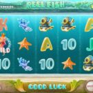 Reel Fish
