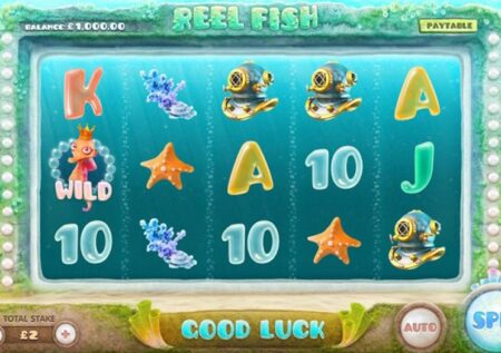 Reel Fish