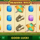 Dragons Wild