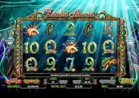 Enchanted Mermaid