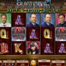 Black Widow Slot