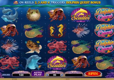 Dolphin Quest Slot