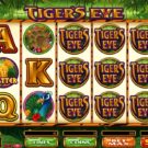 Tigers Eye