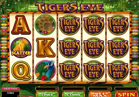 Tigers Eye