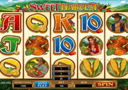 Sweet Harvest Slot