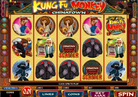 Kung Fu Monkey