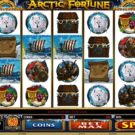 Arctic Fortune Slot