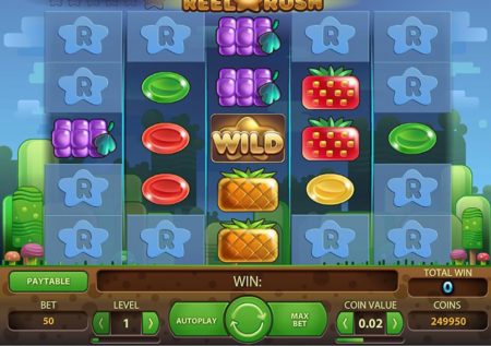 Reel Rush Slot