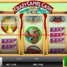 Crazy Camel Cash