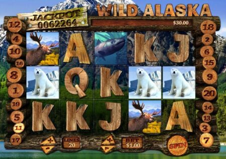 Wild Alaska