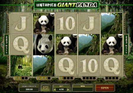 Untamed Giant Panda Slot