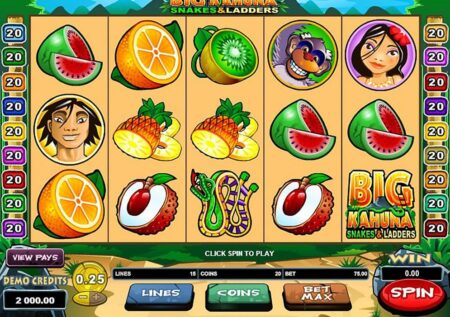 Big Kahuna Snakes and Ladders Slot