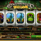 Enchanted Woods