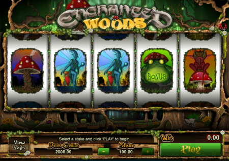 Enchanted Woods