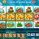 Gold Fish