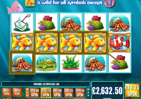 Gold Fish