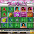 White Orchid Slot
