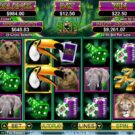 Slots Jungle Slot