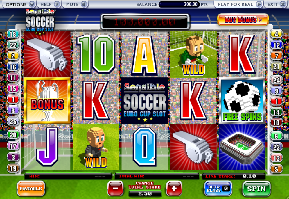 Sensible Soccer Euro Cup