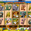 Wild Gambler Slot