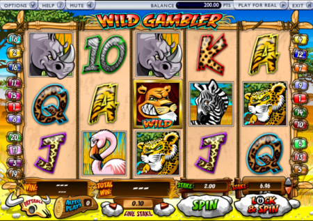 Wild Gambler Slot