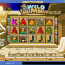 Wild Mummy Slot