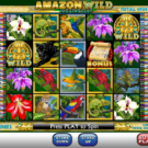 Amazon Wild