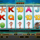 Dolphin Reef Slot