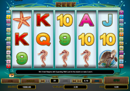 Dolphin Reef Slot