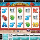 Fighting Fish