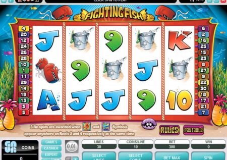 Fighting Fish