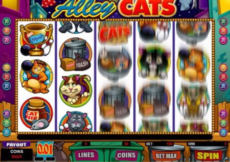 Alley Cats