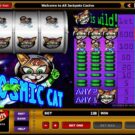 Cosmic Cat