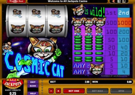 Cosmic Cat