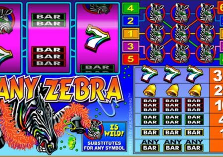 Zany Zebra Slot