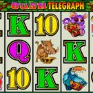 Bush Telegraph Slot