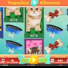 Puppies & Kittens