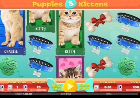 Puppies & Kittens