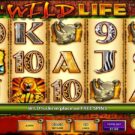 The Wild Life