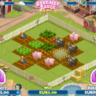 Gourmet Ranch Riches