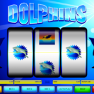 Dolphins