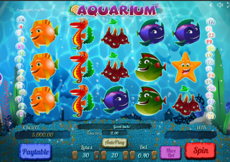 Aquarium Slot