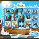 Arctic Adventure