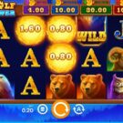 Wolf Power: Hold and Win Slot