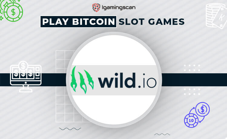 Wild io Casino Review