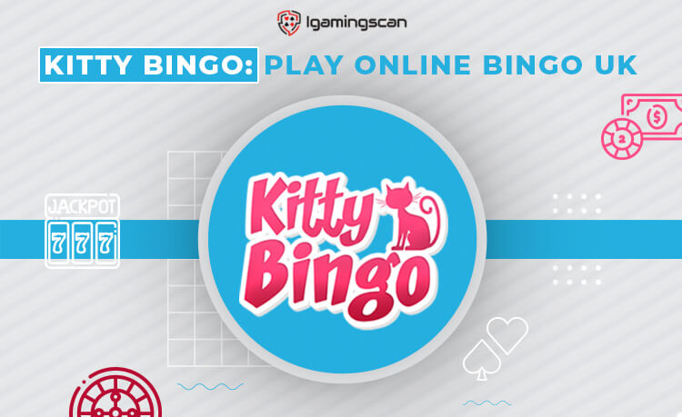 Kitty Bingo Casino