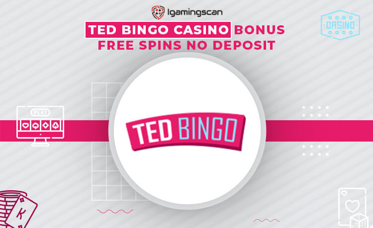 Ted Bingo Casino
