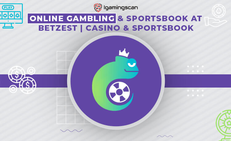 Betzest Casino