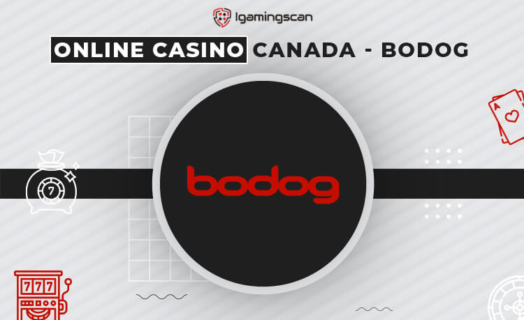 Bodog Casino